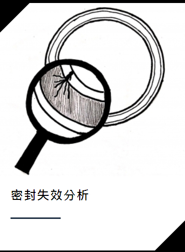 密封失效分析