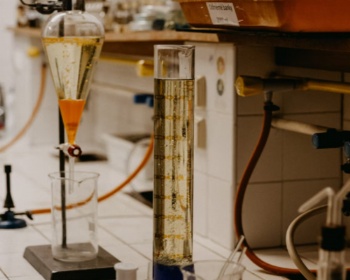 Chemical resistant seals