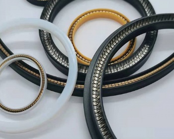 Introduction to spring energized seals