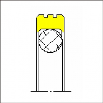 PTFE Rotary Seal Set:type TP