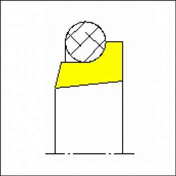 PTFE Wiper Ring-type WA
